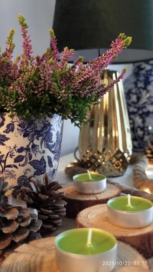 Apartament Z Klasa - Gorajowka Kowary Luaran gambar
